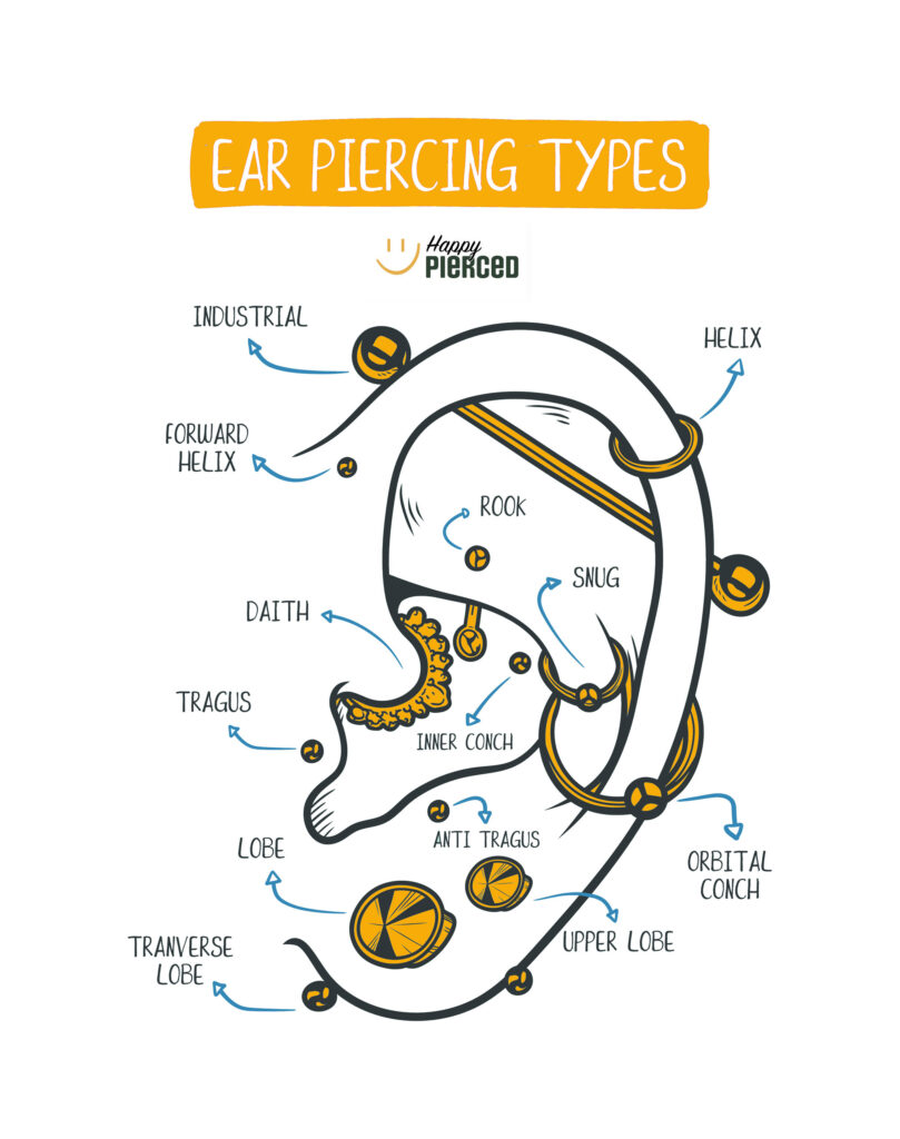 Ear Piercing Chart & Types or Ear Piercing - Happy Pierced in Utah